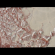 Illustration for article titled New, Insanely High-Resolution Pluto Images Include More Color—and Weird "Snakeskin" Textures